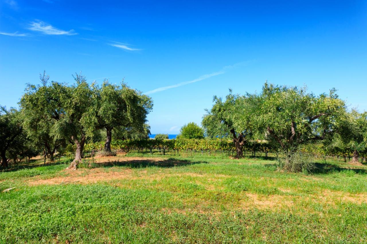 Lithies Organic Farm Prázdninový dům Vasilikí